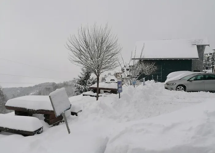 G1 U Milmari Kompleksu - * Копаоник